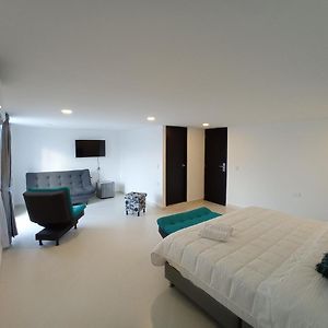 Suite Junior